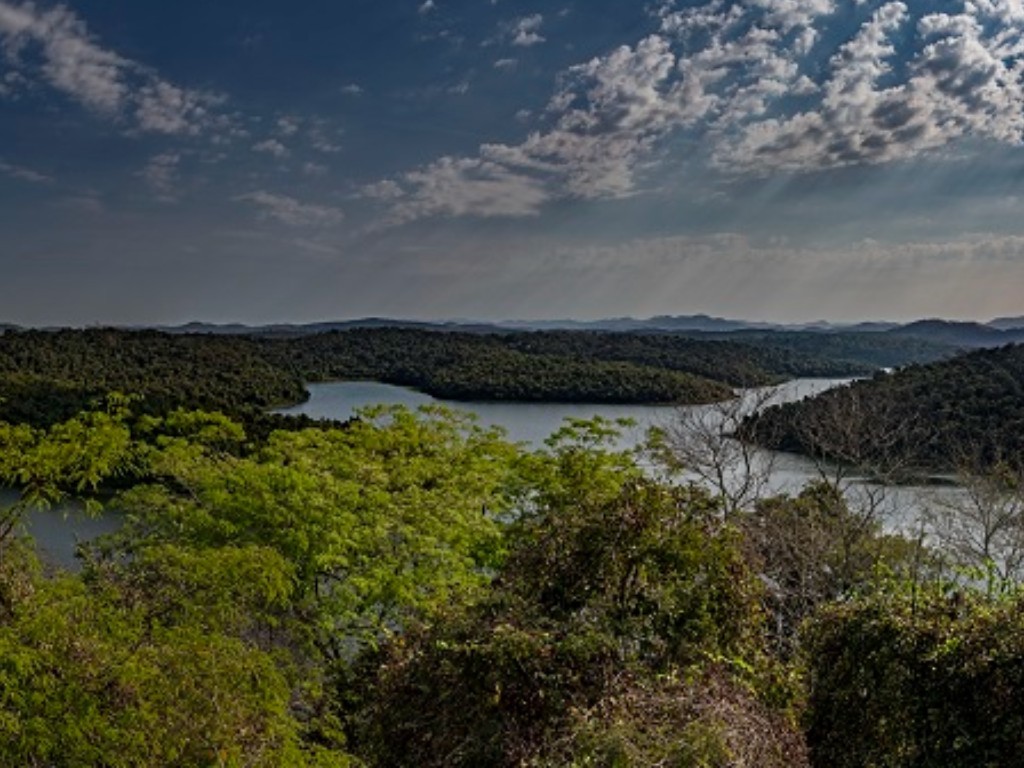 O Perd &eacute; a principal &aacute;rea de prote&ccedil;&atilde;o da Mata Atl&acirc;ntica no Leste de MG