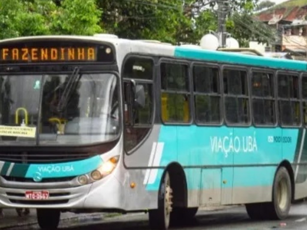 A&ccedil;&atilde;o Civil P&uacute;blica ajuizada pelo MP contra a Via&ccedil;&atilde;o Ub&aacute; Transportes e o Munic&iacute;pio de Ub&aacute; questionou a legalidade de um aumento das tarifas de &ocirc;nibus ocorrido no ano de 2008