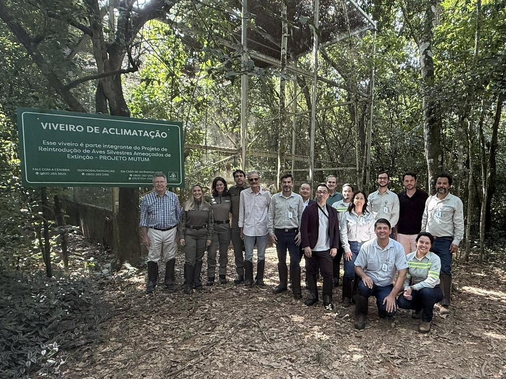 quipe da Cenibra, OJI Holdings, Crax Brasil e IEF durante a soltura das jacutingas na Ponte Perdida, &aacute;rea estrat&eacute;gica de conserva&ccedil;&atilde;o no entorno do PERD.