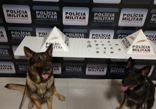 Cães farejadores encontram drogas em Manhuaçu