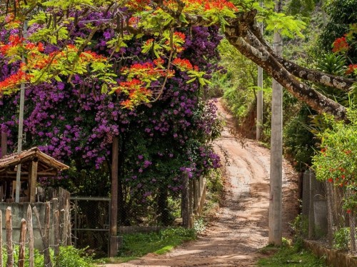 Fabriciano lança projeto de roteirização turística