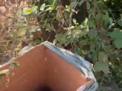 Bebê abandonado é encontrado em Ipatinga