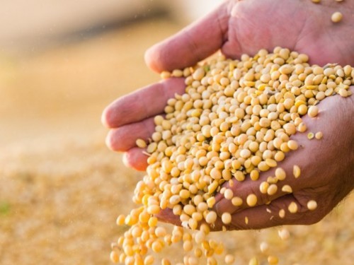 Próximos 10 anos prometem incremento na safra agrícola brasileira