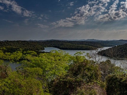 Parque Estadual do Rio Doce monta trilhas para ciclistas