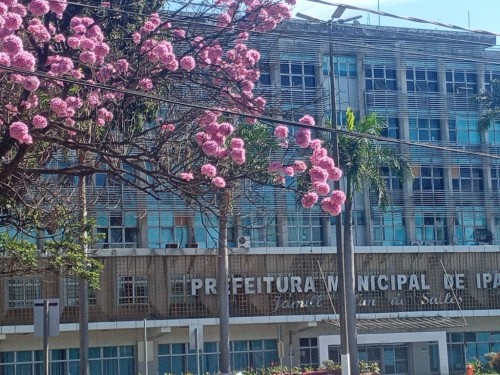 Ipatinga prorroga para inscrição de estagiários