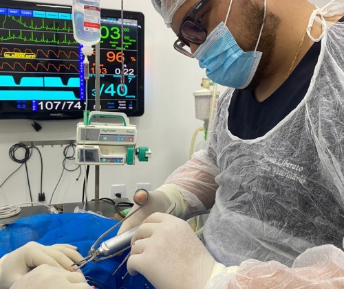 Veterinários de Ipatinga passam por capacitação em Viçosa