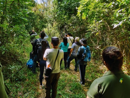 Perd tem programação especial para o feriado prolongado