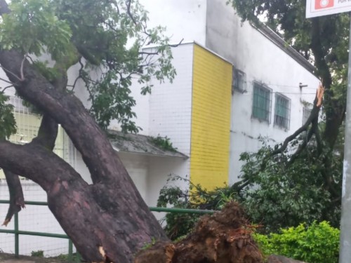 Temporal deixa rastro de estragos em Ipatinga