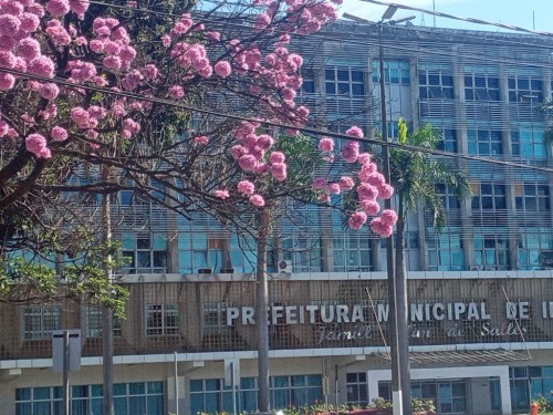 Aposentados e pensionistas terão de fazer prova de vida em Ipatinga