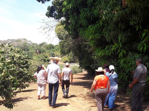 Atividade turística apresenta crescimento  em Minas