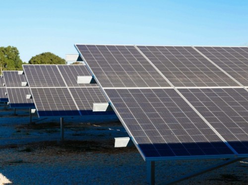 Principais destaques da Rede Sindijori