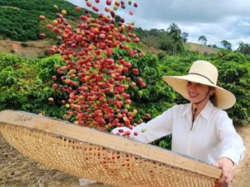 Principais destaques da Rede Sindijori MG