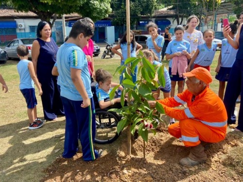 Alunos plantam árvores para homenagear aniversário de escola em Ipatinga