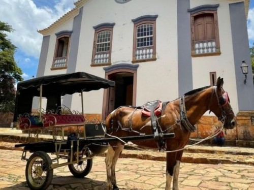 Principais destaques da Rede Sindijori MG