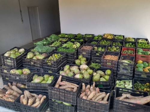 Estado vai investir na criação de bancos de alimentos municipais
