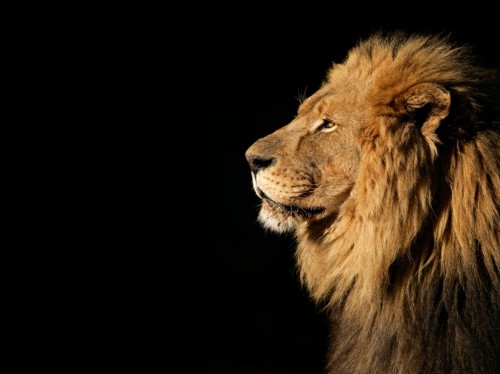 Receita libera terceiro lote de restituição do IR
