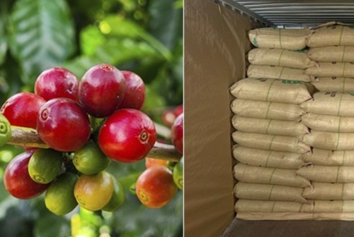 Minas  exporta primeiro lote de café especial com Selo Verde para Europa 
