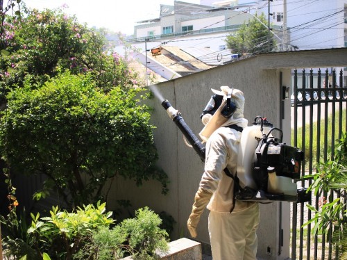 Fabriciano promove Dia D contra a dengue e reforça combate ao Aedes