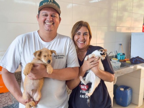 Ipatinga busca lares para animais resgatados