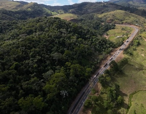 Concessionária da 381 lança app para uso na rodovia