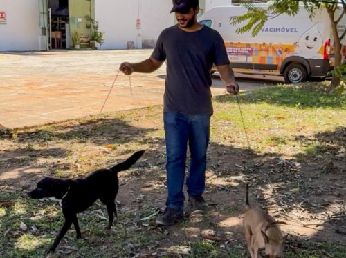 Prefeitura convida voluntários para participar do Cão Rolé em Ipatinga 