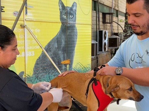 Ipatinga realiza Dia D de vacinação antirrábica