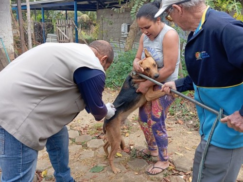 Timóteo intensifica campanha antirrábica