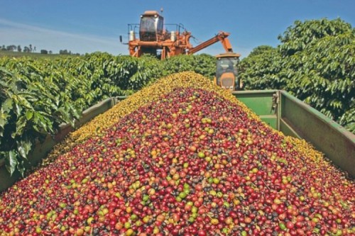 Exportações mineiras para os EUA caem 49,5%