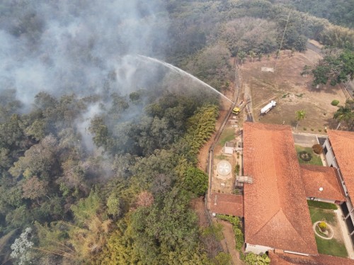 Cenibra monitora áreas afetadas por incêndios e intensifica prevenção