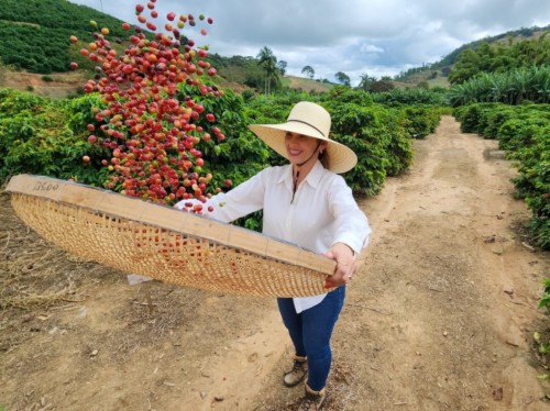 Xeiques de Dubai querem café produzido no Leste Mineiro