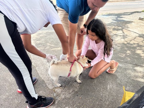 Timóteo supera meta de vacinação antirrábica
