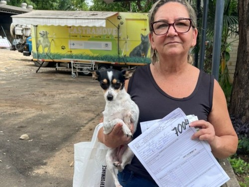 Ipatinga ultrapassa a marca de 7 mil castrações de cães e gatos
