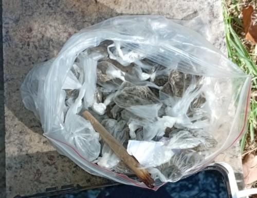 Vendedor de drogas é preso no Centro de Ipatinga 