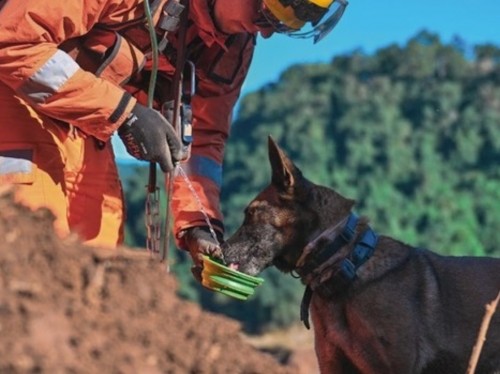 Corpo de Bombeiros abre vagas para soldados e oficiais 