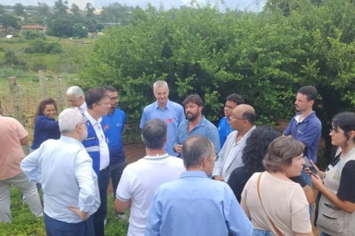 O potencial da vitivinicultura de inverno em MG