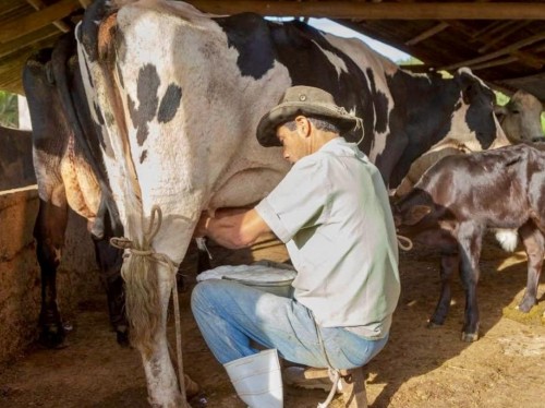 Prefeitura e Câmara unem esforços para orientar produtores rurais de Ipatinga
