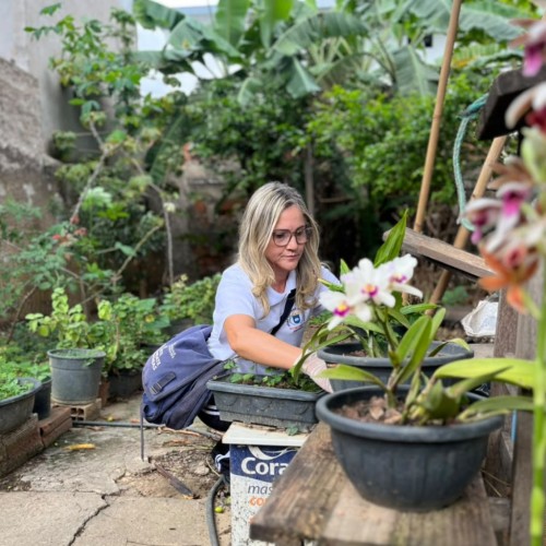 Ipatinga registra novos índices infestação pelo Aedes